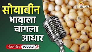 Cotton, Soybean Rate: कापूस बाजार, भेंडी दर, कैरी भाव, टोमॅटो रेट | Agrowon