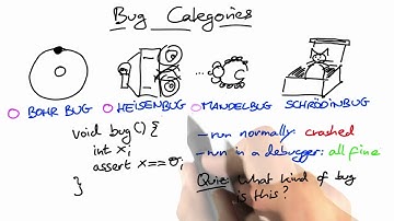Classify the Bug - Software Debugging