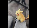 #viral #anime #animecommunity #viralvideo #animefans #pokemon #pikachu #cute #cutepikachu