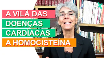 O que faz aumentar a homocisteína?