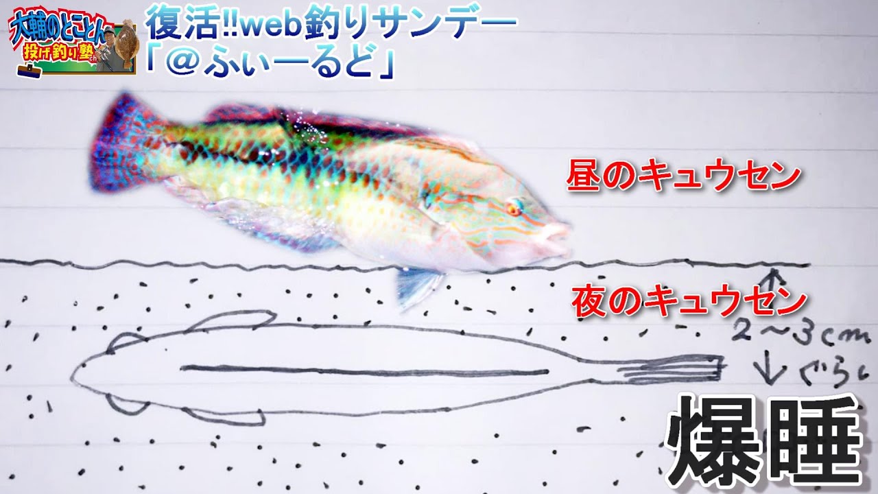 宇和島の投げ釣り 旬の実釣記 ふぃーるど Part は愛媛県宇和島市 坂下津のキュウセンベラの投げ釣り 復活 Web釣りサンデー Youtube
