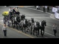 Windermere Farms Percherons Promotional Video