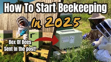 How To Start Beekeeping In 2025 (Episode 1)