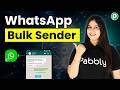 Send Bulk Messages On WhatsApp Without Groups WhatsApp Broadcast Tutorial