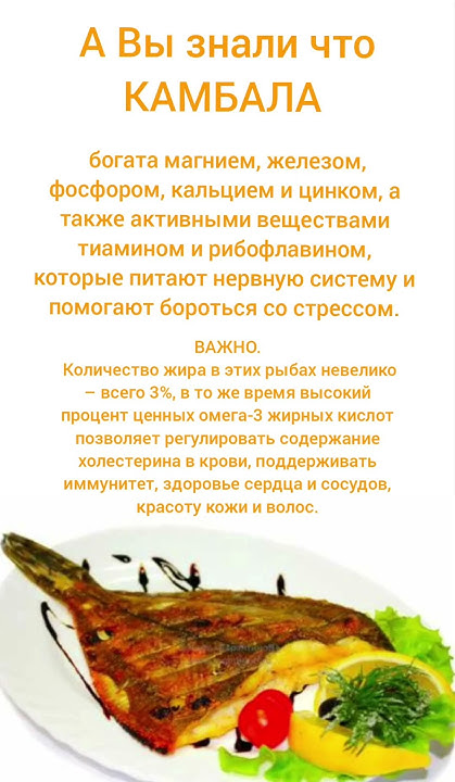 КАМБАЛА польза. #полезныепродукты - YouTube