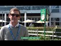 Monday Clear Round: Darragh Kenny