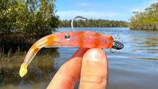 A New Squid Lure Fish Cant Resist