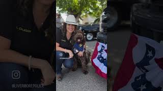 Livermore Rodeo Parade - June 10, 2024