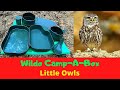 Wildo Camp-A-Box and Little Owls
