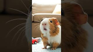#guineapig #school #sunday #ai #cat #aiart #funny #reels #tiger #animals #aicat #instagram #cute