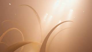 Soft Light Falling – Calming Piano Soundscape for Work & Wind Down