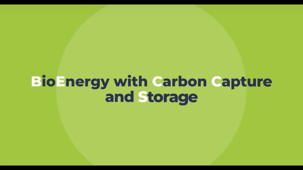 What is Bioenergy with Carbon Capture and Storage? (BECCS)