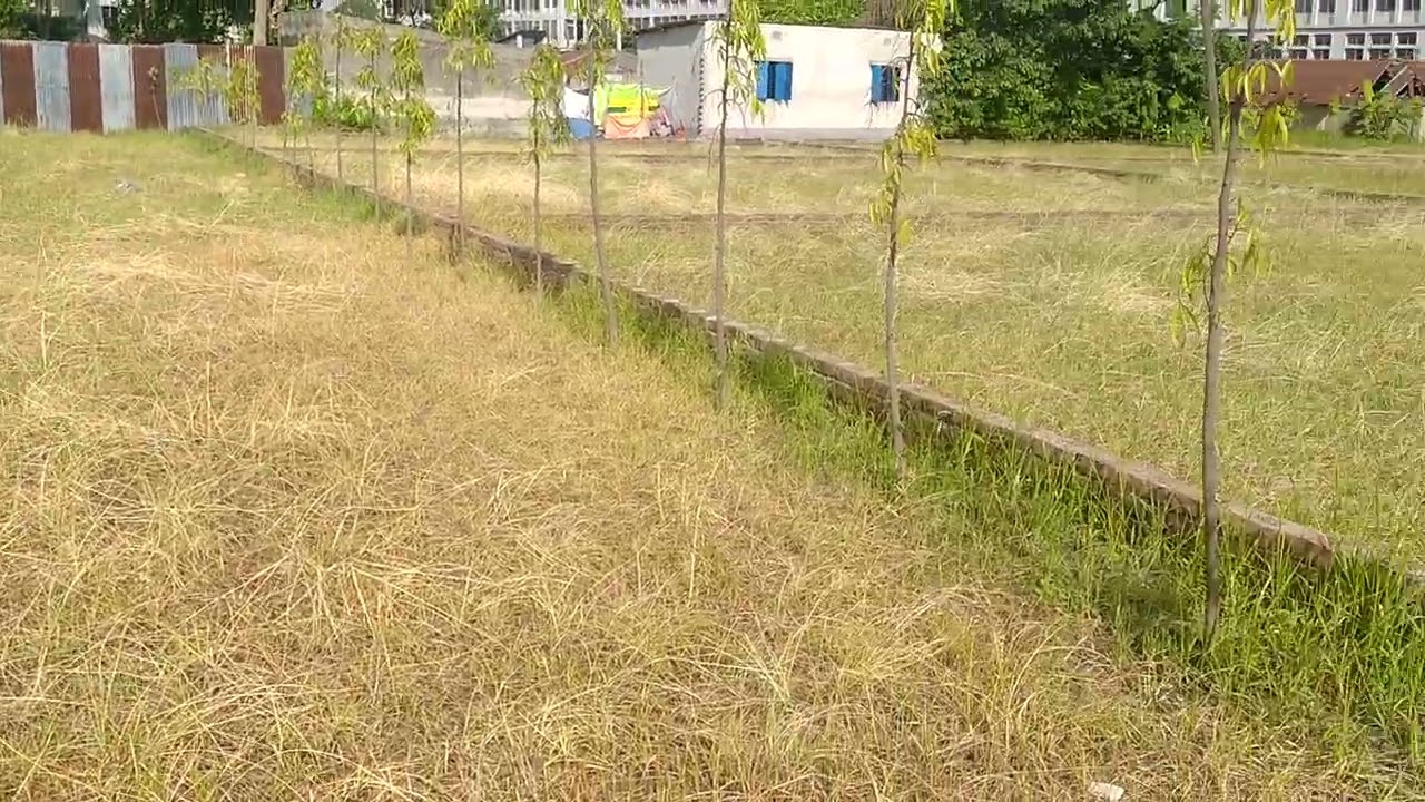 Take a 3 Katha South-Facing Ready Plot