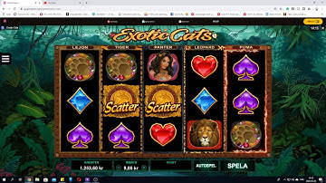 Giving gogo casino one more chance #5 | GOGO Casino