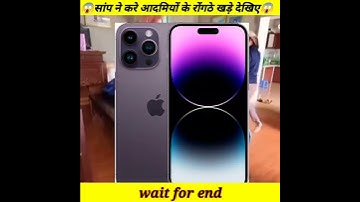 सांप ने करें आदमियों के रोंगठे खड़े देखिए 😱🐍🦖 Snake Rescue 1 amazing #shorts #youtube #snake