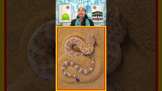 Ret Mein Rahne Wala Snake 🐍