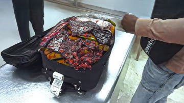 30 Most Disturbing Things Confiscated At Airport Customs (Part 2)