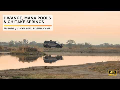 Zimbabwe and Zambia 2025 Episode 3 | Robins Camp | Victoria Falls | Hwange National Park