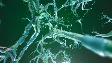 plaguezero - Retribution