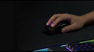 Mouse Sound (1 Hour)