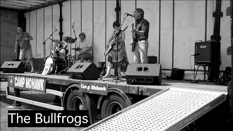 Messing With The Kid - The Bullfrogs 2014