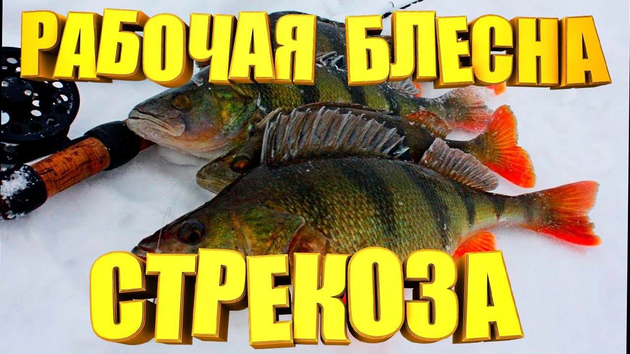 Без этой Блесны-Стрекозы на рыбалку не хожу. Розыгрыш Блесны Стрекозы ...