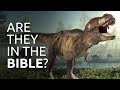 Does the Bible Talk about Dinosaurs?