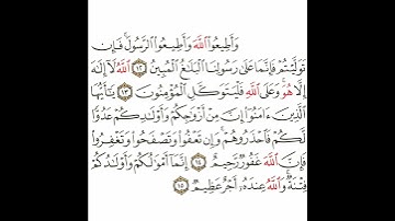 سورة التغابن 5 القسم الخامس تكرار كيفي من .. وأطيعوا الله وأطيعوا الرسول .. إلى .. عنده أجر عظيم