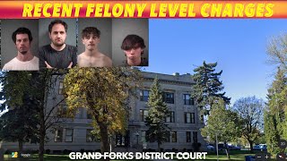 Recent Felony Level Charges In Grand Forks District Court