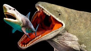 Mariana Trench Creatures That Are Scarier Than Megalodon