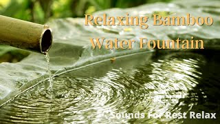 Water Flowing Bamboo Sound | Japanese Fountain | Relax Rest Meditation Study Relax Fast Healing AMSR