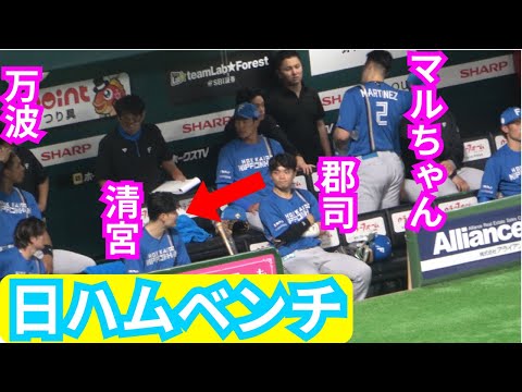 郡司裕也が清宮幸太郎とアイコンタクト!マルティネスを見守るベンチ!万波中正のスタートダッシュ【北海道日本ハムファイターズ】