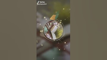 حالات واتساب دينيه /سورة القارعة /تيك توك /