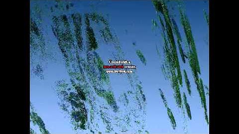 My First Fractal Movie