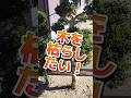 木を抜く為にとりあえず枯らしたいので私のやり方を紹介 #除草剤 #木を抜く