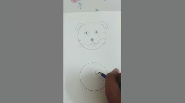 How to draw dog