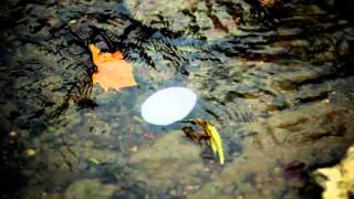 Listen to: Read the Bible in a Year, Day 359 (Revelation 1 - 3)