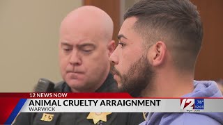 Warwick man facing animal cruelty charges after dead, emaciated dogs found in home