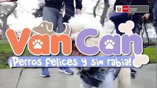 #PerrosFelicesYSinRabia  | Conoce la importancia de la vacuna contra la rabia canina