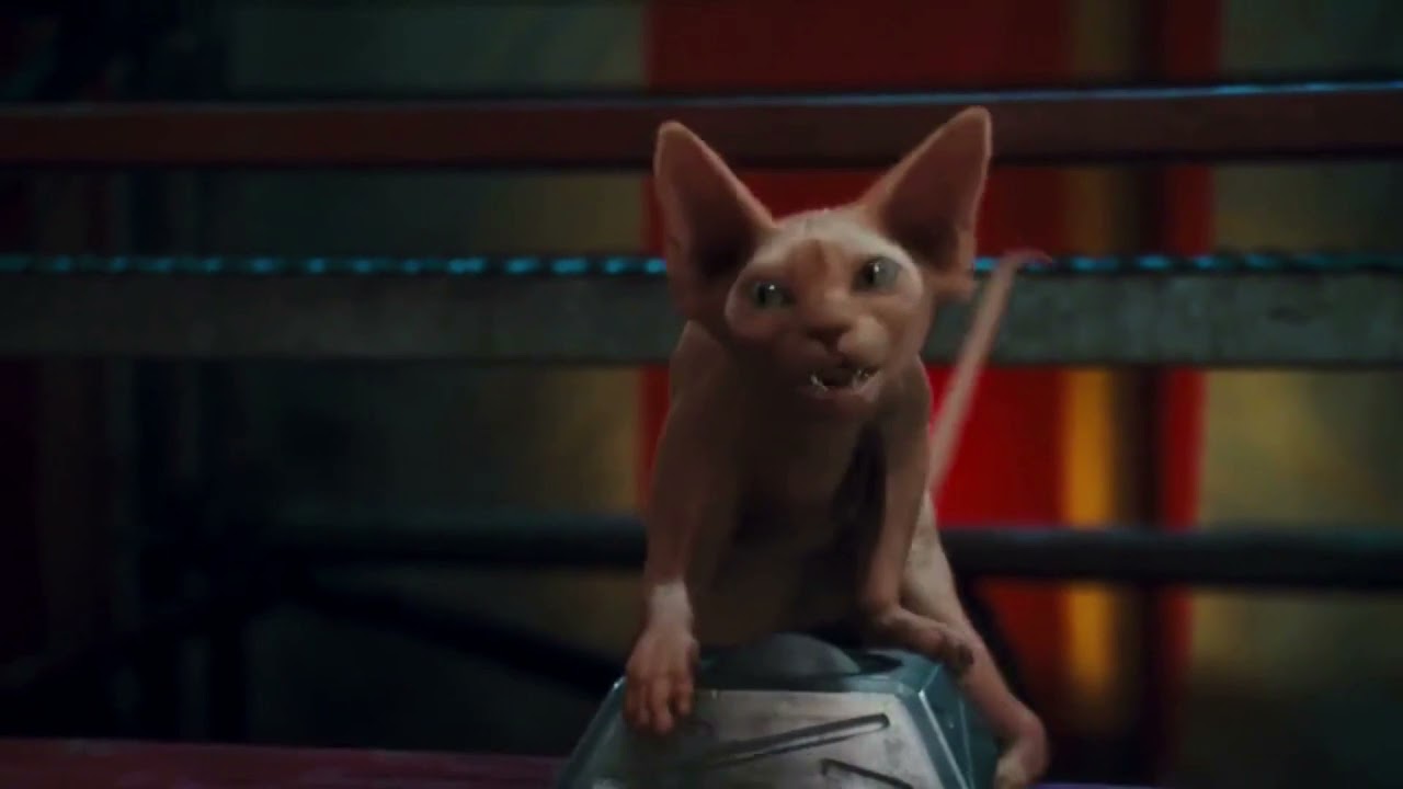 Peter Rabbit and friends (Thomas and Friends) S4E21 Bulls Eyes