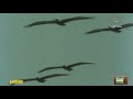  اسماء الله الحسنى 21 تلفزيون الكويت الزمن الجمييل