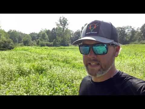 ATV Roller Crimper Brassica Food Plot Planting