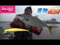ダイソーミノー釣れすぎワロタｗｗｗ【DAISOミノーモンスター】