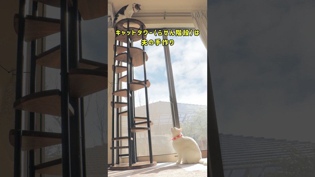 DIYで猫がくるくる回って登る「キャットタワー」作ったら大好評！嬉し