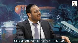 איך אפשר להפוך פנים של רוצח אלים לפנים עדינות וקורנות? הרב דוד פריוף