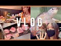 【新大久保Vlog】姉とサムギョプサルランチ🍴🌮 ペットショップ◉ゲーセン◉