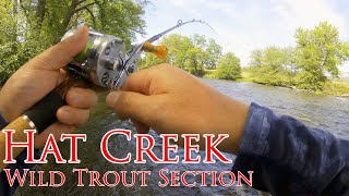 Hat Creek - Early Summer Wild Trout Section, BFS Lure Fishing [4K60 HDR]