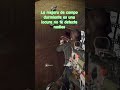 la mejora de campo durmiente es una locura no te detecta nadies#ps5 #warzone #playstation#callofduty
