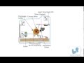 Knowledge Video for kids How It Works Laser Printer