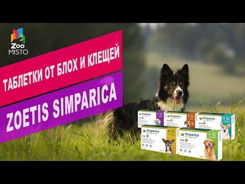 Таблетки от блох и клещей Zoetis Simparika | Обзор таблеток от блох и клещей Zoetis Simparika